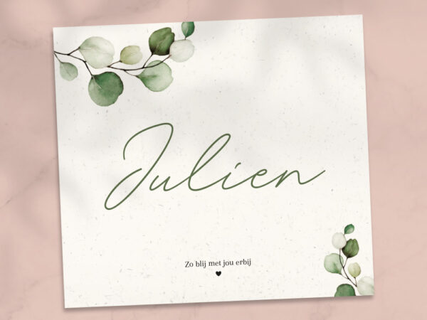 Ontwerp geboortekaartje - Julien